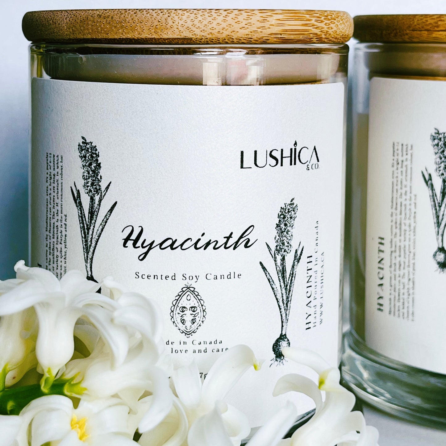 Hyacinth - Soy Wax Candle